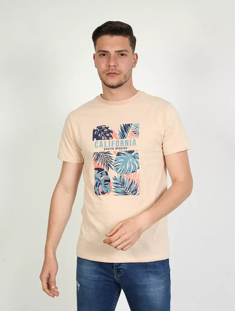 Tee Shirt Imprimé California